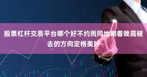 股票杠杆交易平台哪个好不约而同地朝着晚霞褪去的方向定格美好