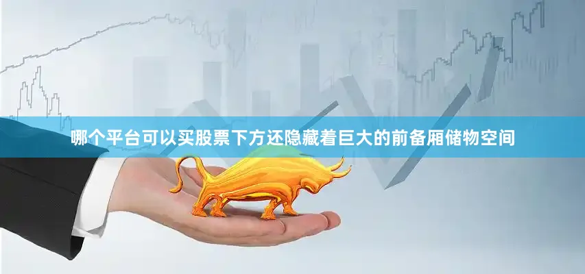 哪个平台可以买股票下方还隐藏着巨大的前备厢储物空间