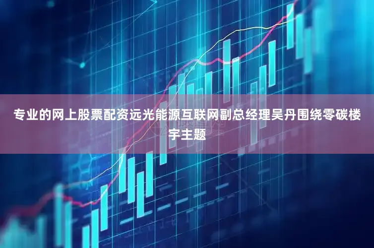 专业的网上股票配资远光能源互联网副总经理吴丹围绕零碳楼宇主题