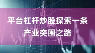 平台杠杆炒股探索一条产业突围之路